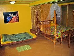 Ravenala Hotel Moalboal